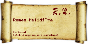 Remes Melióra névjegykártya